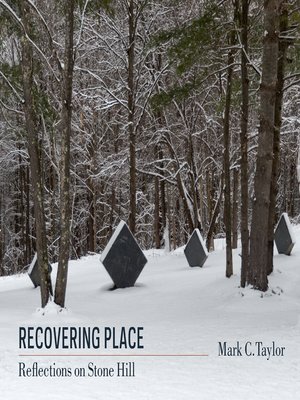 cover image of Recovering Place